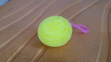 Flexible plastic Worm Fidget Toy (1 Pc)